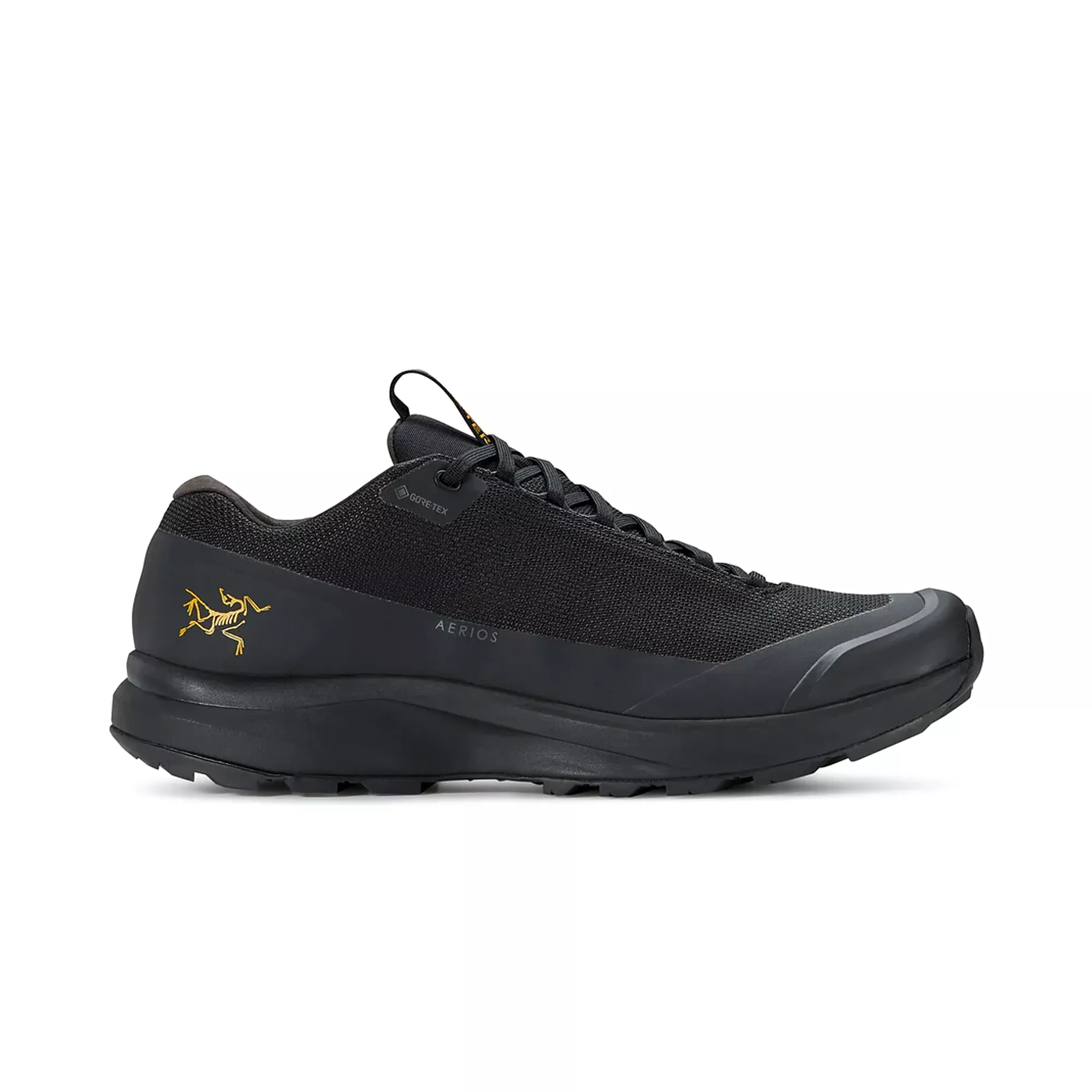 Arc'Teryx Aerios FL 2 GTX Men's Black/Black L07883300