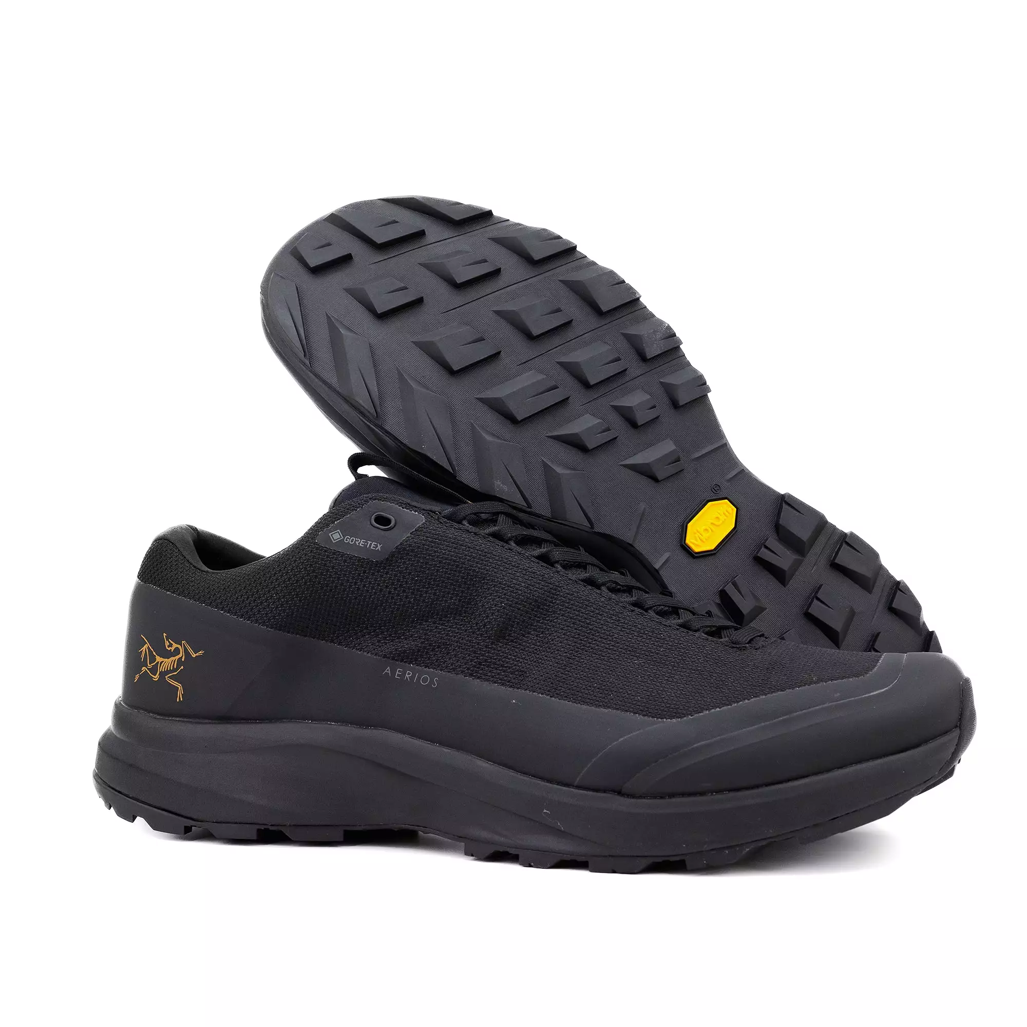 Arc'Teryx Aerios FL 2 GTX Men's Black/Black L07883300