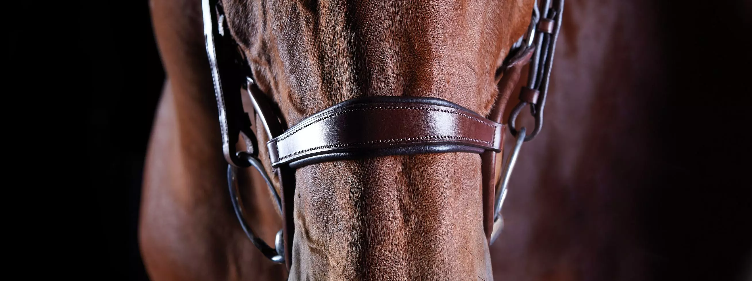 Collegiate Comfitec Crystal Bridle