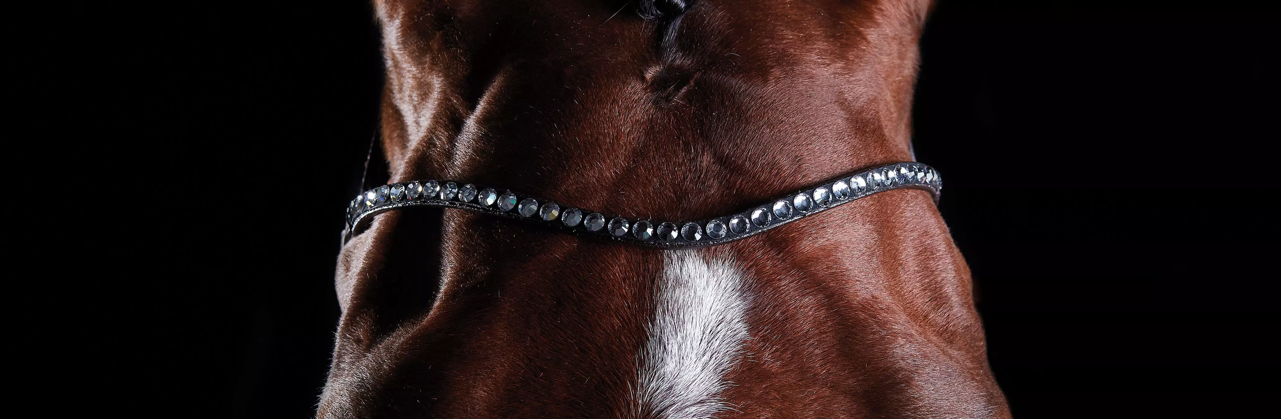 Collegiate Comfitec Crystal Bridle