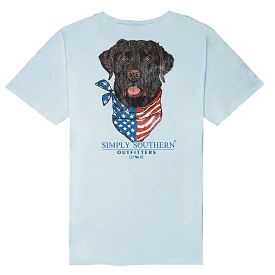 Men's Black Lab USA Short Sleeve T-Shirt