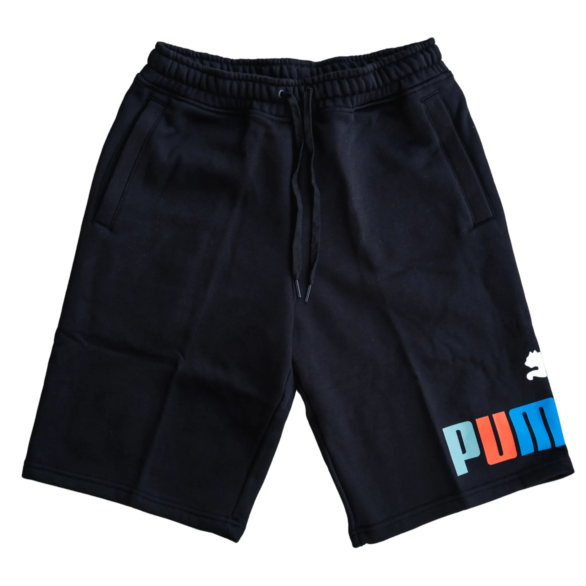 Puma Fleece Big 10' Shorts (Black)