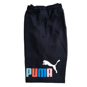 Puma Fleece Big 10' Shorts (Black)